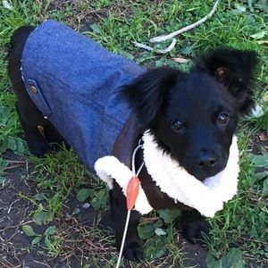 Puppies biker jacket 🐾